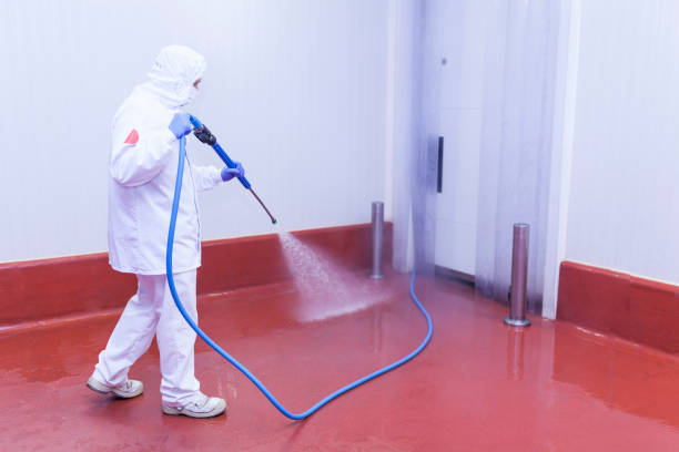 Spring Cleaning in Fairlawn, VA